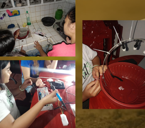 IoT Vermicomposting Monitor thumbnail